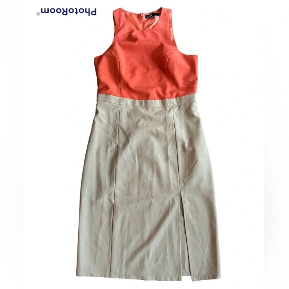 C. Luce Colour Block Fitted Dress